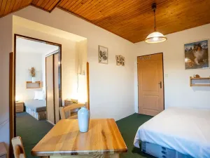 Prodej rodinného domu, Strážné, 450 m2