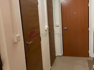 Pronájem bytu 1+1, Olomouc, Stupkova, 35 m2