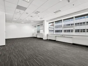 Pronájem kanceláře, Praha - Smíchov, Radlická, 881 m2