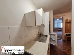 Pronájem bytu 2+kk, Praha - Žižkov, Jagellonská, 52 m2
