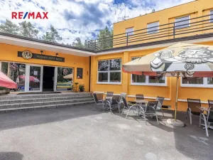 Prodej ubytování, Doksy, Pod Borným, 1700 m2