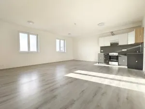 Pronájem bytu 2+kk, Nehvizdy, 65 m2