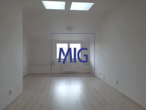 Pronájem bytu 2+kk, Syrovice, 64 m2