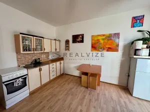 Pronájem bytu 1+kk, České Budějovice, Nová, 30 m2
