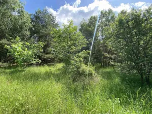 Prodej pozemku, Slavonice - Stálkov, 1831 m2