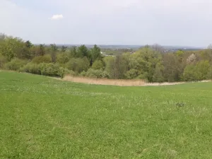 Prodej pozemku, Chotěbuz, 6967 m2