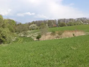 Prodej pozemku, Chotěbuz, 6967 m2