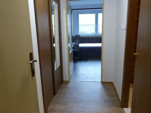 Pronájem bytu 1+kk, Brno, Heršpická, 23 m2