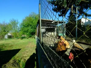 Pronájem rodinného domu, Uherský Brod, 110 m2