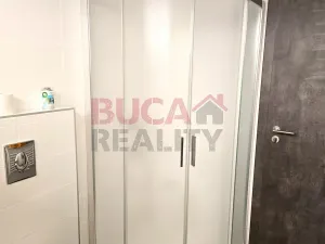 Pronájem obchodního prostoru, Litvínovice, 148 m2