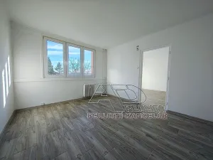 Prodej bytu 3+kk, České Budějovice, L. M. Pařízka, 62 m2