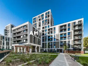 Pronájem bytu 1+kk, Praha - Žižkov, Olgy Havlové, 38 m2