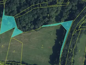 Prodej lesa, Jaroměř, 19276 m2