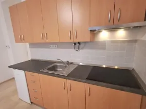 Pronájem bytu 1+kk, Praha - Braník, Pod vinohradem, 27 m2