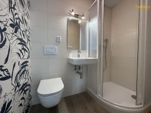 Pronájem bytu 2+kk, Telč, Radkovská, 40 m2