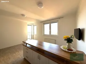 Prodej bytu 2+kk, Praha - Troja, Hnězdenská, 43 m2