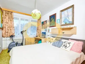 Prodej bytu 3+kk, Borek, Družstevní, 67 m2