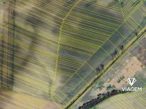 Prodej pole, Lovčice, 531 m2