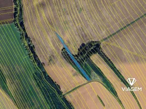 Prodej podílu pole, Březolupy, 973 m2