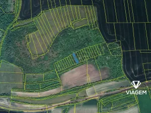 Prodej zahrady, Děčany, 429 m2