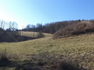 Prodej pole, Úštěk - Tetčiněves, 4600 m2