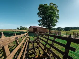 Prodej ubytování, Opatov, 500 m2