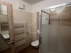 Pronájem bytu 1+kk, Praha - Vršovice, Pod soutratím, 37 m2