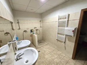 Pronájem výrobních prostor, Brno, Franzova, 785 m2