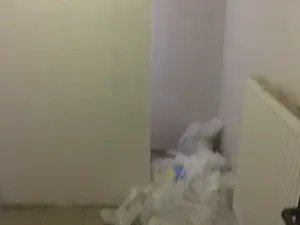 Prodej komerční nemovitosti, Křečhoř, 433 m2