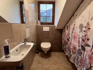 Prodej rodinného domu, Orlické Podhůří, 267 m2