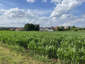 Prodej pozemku pro bydlení, Velká Bíteš, Masarykovo náměstí, 4468 m2