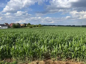 Prodej pozemku pro bydlení, Velká Bíteš, Masarykovo náměstí, 4468 m2