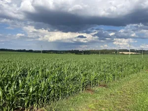 Prodej pozemku pro bydlení, Velká Bíteš, Masarykovo náměstí, 4468 m2