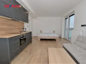 Pronájem bytu 1+kk, Plzeň, Na Roudné, 41 m2