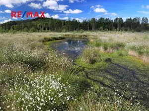 Prodej ubytování, Volary, K. V. Raise, 392 m2