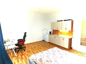 Pronájem bytu 1+kk, Praha - Nové Město, Na zbořenci, 24 m2