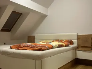 Pronájem bytu 5+1, Praha - Holešovice, Bubenská, 209 m2