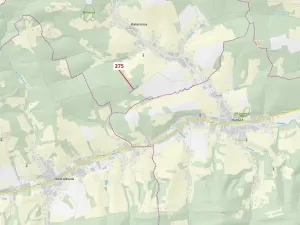 Dražba lesa, Kateřinice, 4826 m2