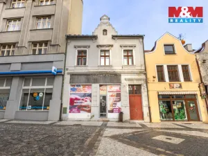Prodej rodinného domu, Louny, Pražská, 173 m2
