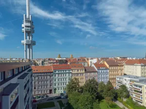 Prodej bytu 3+kk, Praha - Žižkov, Bořivojova, 81 m2
