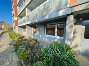 Pronájem bytu 1+1, Litoměřice, Nezvalova, 42 m2