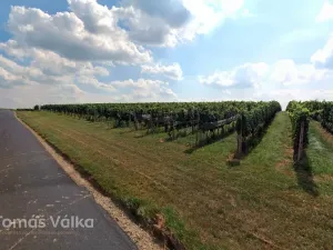 Prodej pole, Čejkovice, 25676 m2