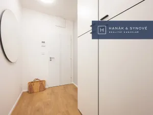 Pronájem bytu 1+kk, Brno, Cejl, 36 m2