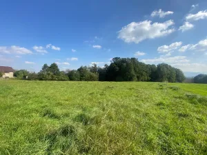 Prodej rodinného domu, Horní Bludovice, 524 m2