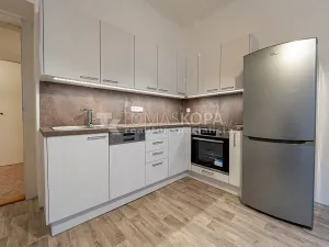 Pronájem bytu 1+1, Praha - Dejvice, Koulova, 40 m2