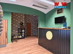 Pronájem obchodního prostoru, Teplice, U nádraží, 57 m2