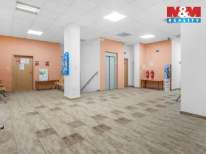 Pronájem obchodního prostoru, Ústí nad Labem - Severní Terasa, Šrámkova, 32 m2