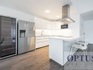 Pronájem bytu 6+kk a větší, Praha - Staré Město, Dušní, 218 m2