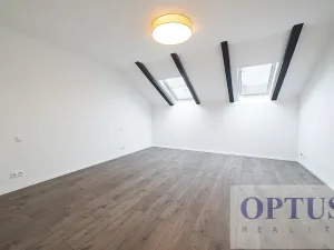 Pronájem bytu 6+kk a větší, Praha - Staré Město, Dušní, 218 m2