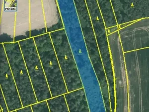 Dražba lesa, Blížejov, 4624 m2